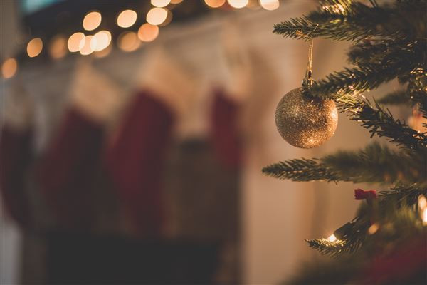 Festive Opening Hours 2020-21